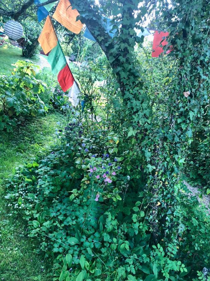 Les Glycines De Bougy Bed & Breakfast Екстериор снимка